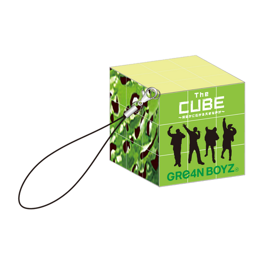 GReeeeN 緑一色歌合戦 DVD グッズ GReeeeN 緑一色歌合戦 DVD グッズ GReeeeN 緑一色歌合戦 DVD グッズ GReeeeN 緑一色歌合戦 DVD グッズ